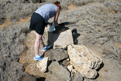 We found this geocache in this pile of rocks near the Southermost point of Hawai'i. Southern Point Geocache
