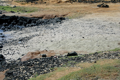 Not the famous really big green sand beach 2 1/2 miles hike from here, but none the less, it's green sand. Green Sand Beach