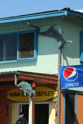 Interesting aquatic themed gutters on this building. Fancy Gutters