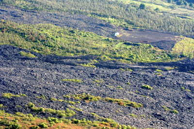 This house seems to be spared for now, but could be inundated at any time. The lava flow stopped just uphill from it for now. Spared House